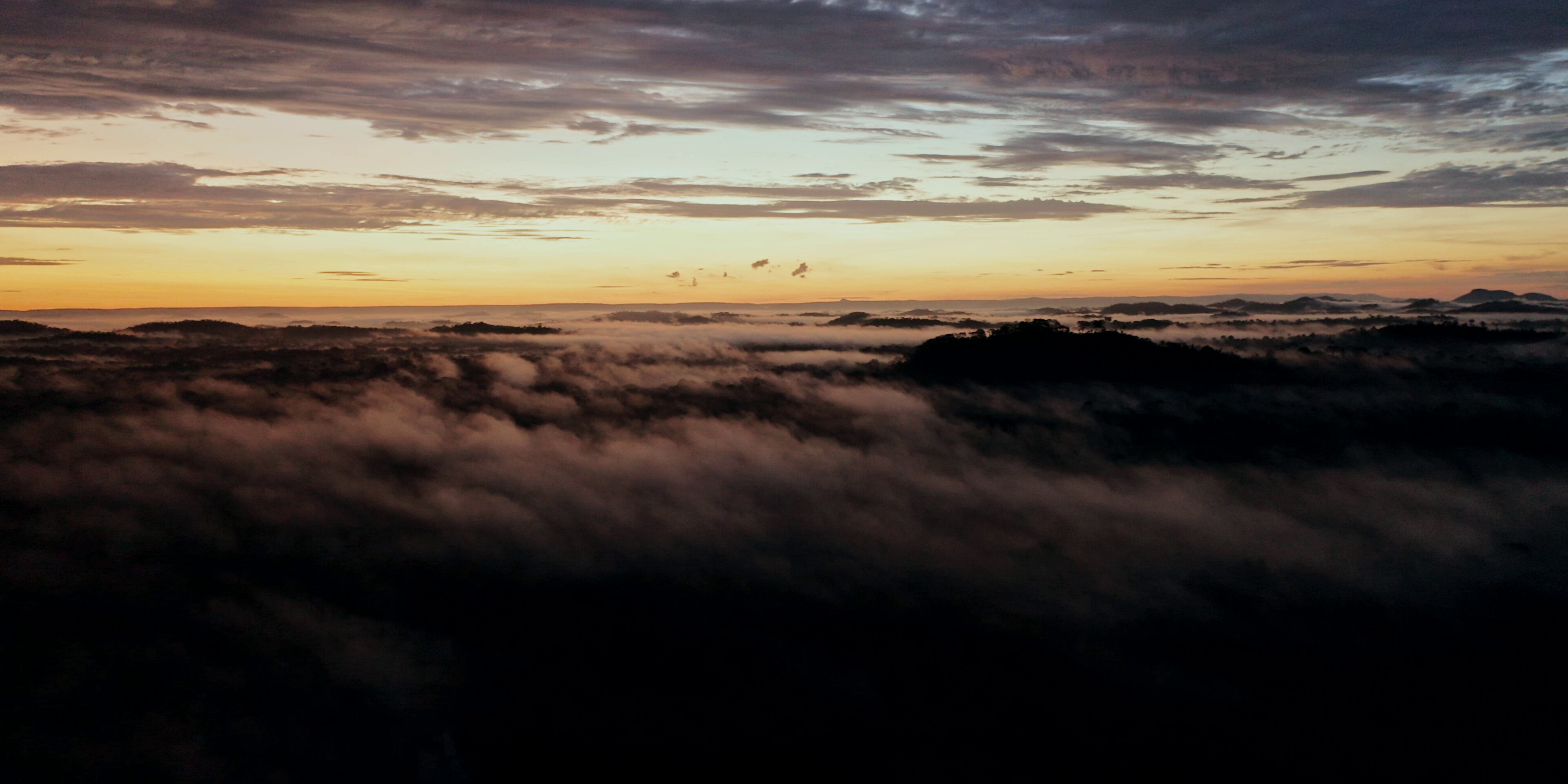 Amanhecer na floresta amazônica